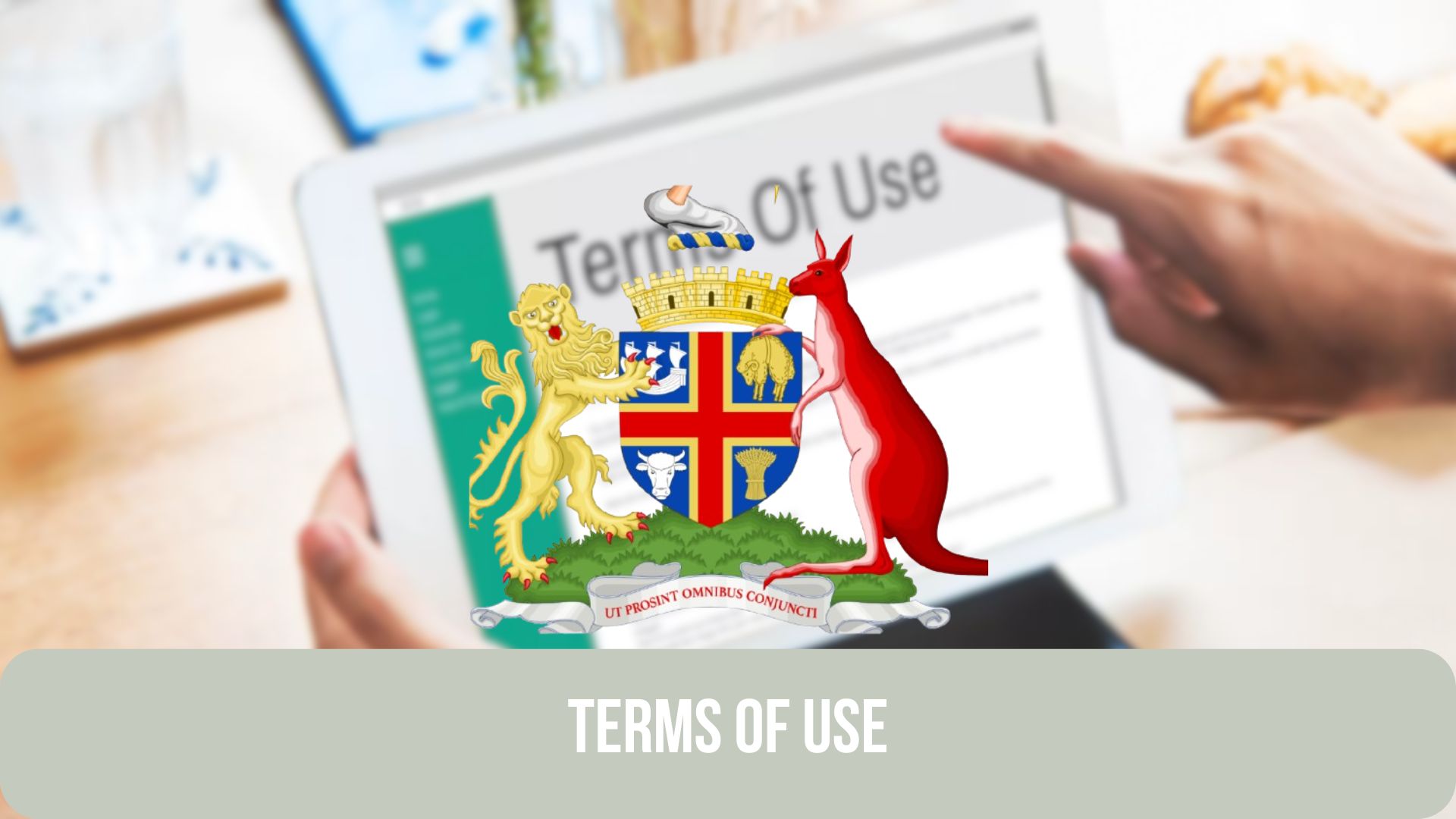 Terms of use